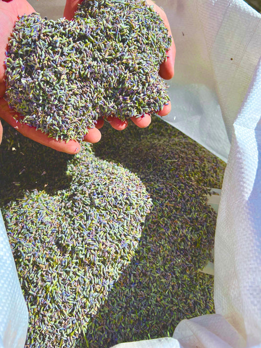 Bag of bulk lavender flowers, 1 kg